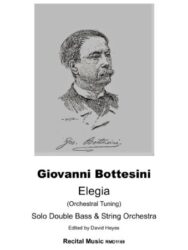 Elegia for Solo Double Bass and String Orchestra