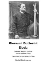 Elegia for Double Bass and Guitar