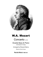 Concerto K.191