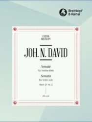 Sonata for Violin Solo Werk 31 No. 2