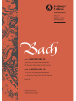 Cantata BWV 58 “Ach Gott, wie manches Herzeleid”