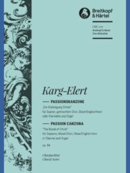 Passion Canzona Op. 84