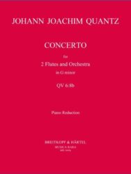 Flute Concerto in G minor QV 6:8b