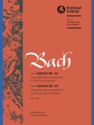 Cantata BWV 153 “Schau, lieber Gott, wie meine Feind”