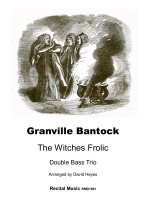 The Witches Frolic