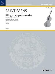 Allegro appassionato op. 43 in B minor